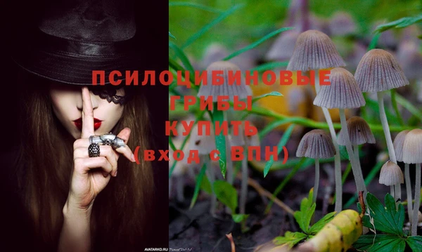 2c-b Белоозёрский