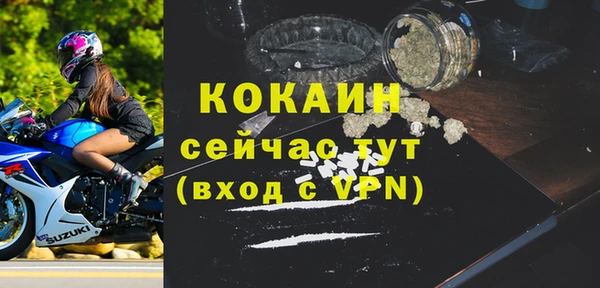 твердый Богородицк