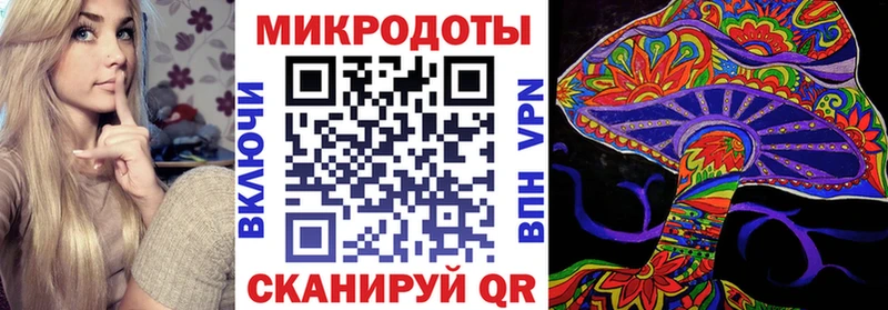 кракен ССЫЛКА Жирновск Галлюциногенные грибы Psilocybe