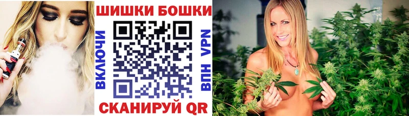 Бошки Шишки THC 21%  даркнет сайт  Жирновск 